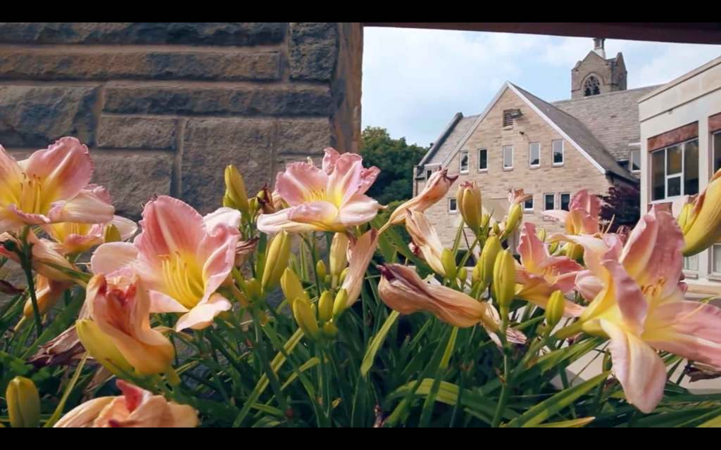 Discover the stunning moments captured at Laura and Drew's wedding party, from the church to the college campus.